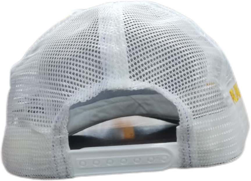 Sweat Equity SnapBack Hat (2 tone)
