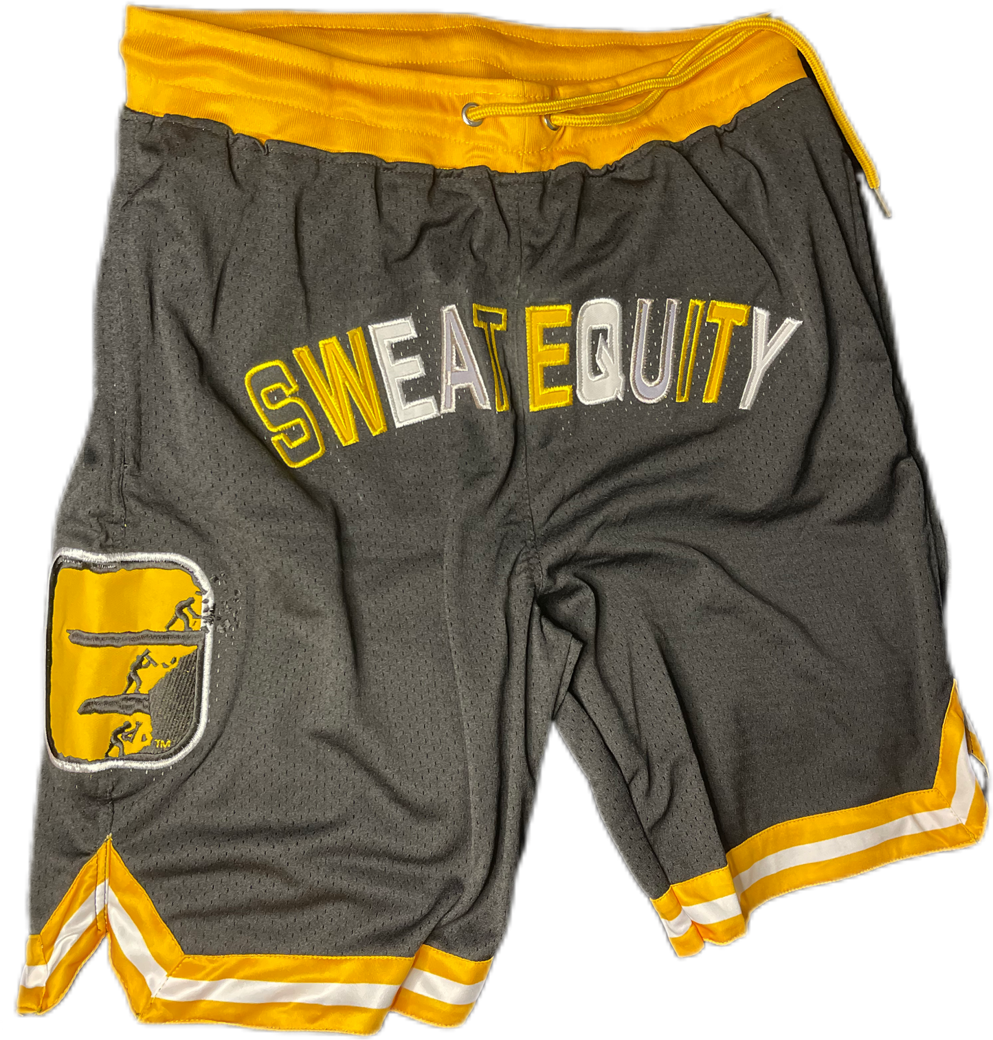 Sweat Equity Style Shorts (Authentic)