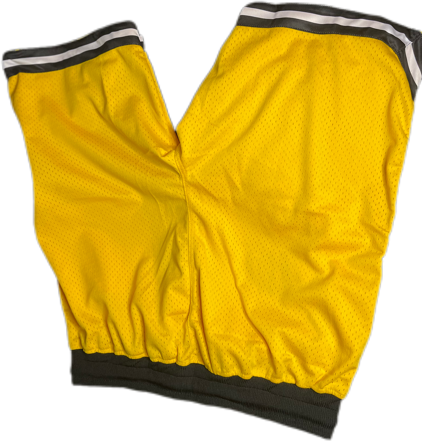 Sweat Equity Style Shorts (Authentic)